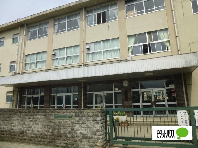 小田原市立足柄小学校：1024m