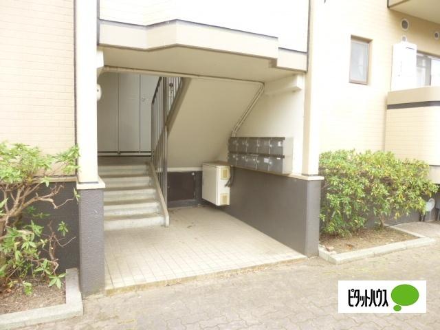 グレイスコート（505） その他