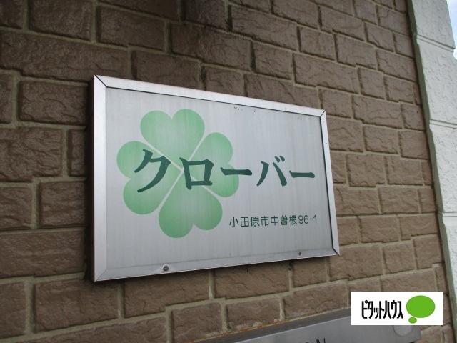 クローバー（101） その他