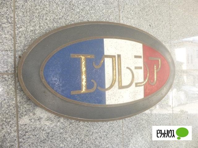 エクレシア（207） その他