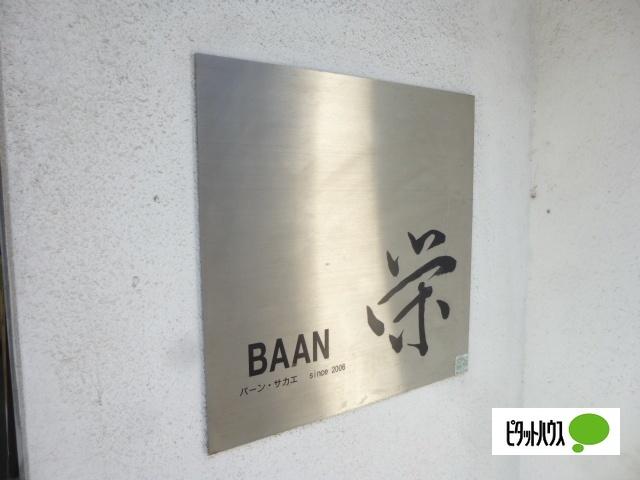 Baan栄（502） その他