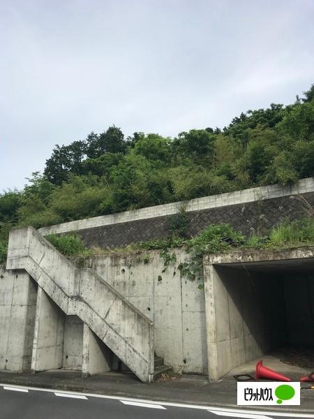 土地1