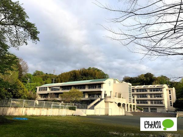 小学校