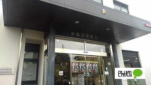 警察署、交番