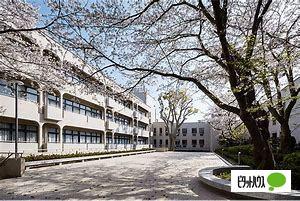 中学校