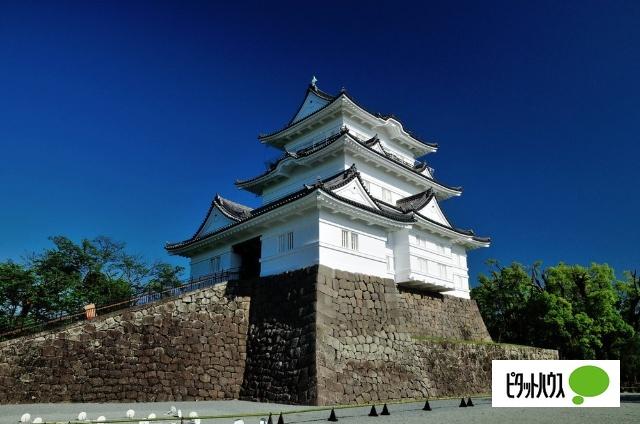 公園