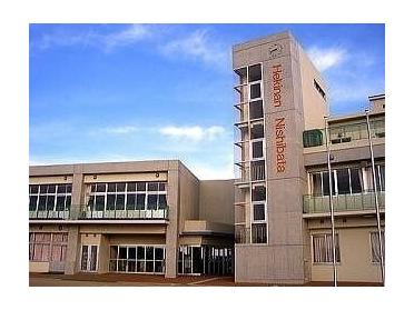 西端小学校：211m