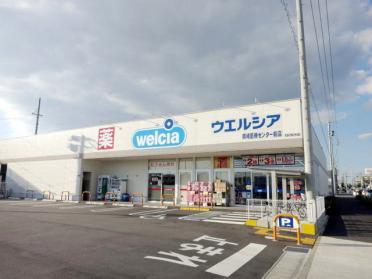 ウエルシア岡崎医療センター前店：600m