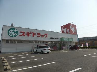 ｽｷﾞ薬局 上重原店：517m