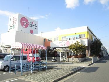 ﾄﾞﾐｰ 新川店：283m