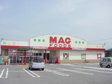 マグフーズ六ツ美店：1102m