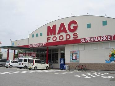 MAG FOODS（ﾏｸﾞﾌｰｽﾞ） 六ﾂ美店：1001m