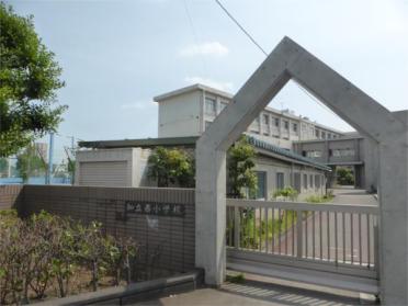 知立市立知立西小学校：696m