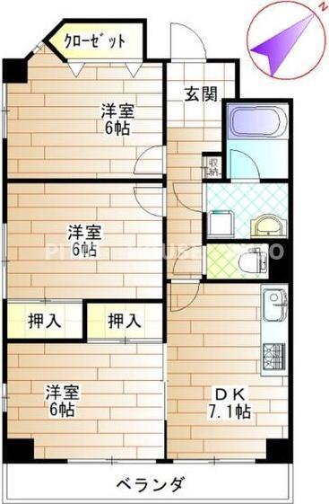 参考