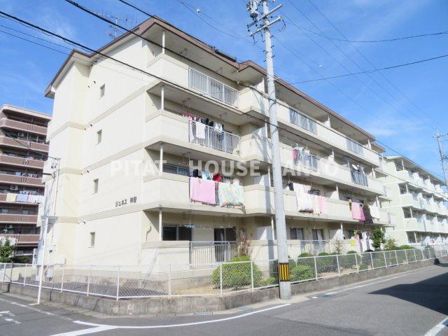 ジュネス神谷（402） バルコニー