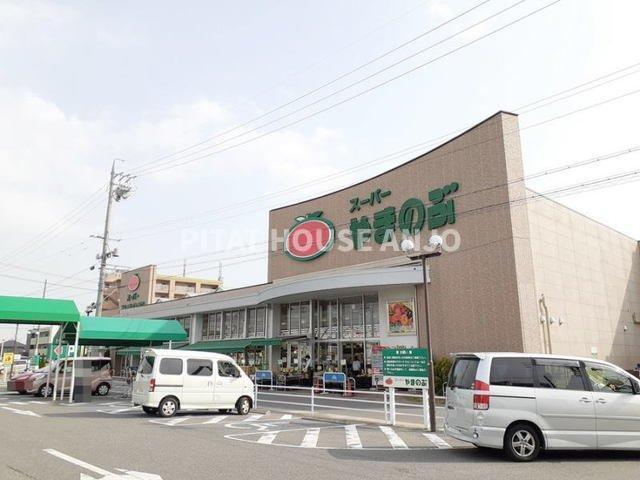 グランシュテル（305） 部屋画像