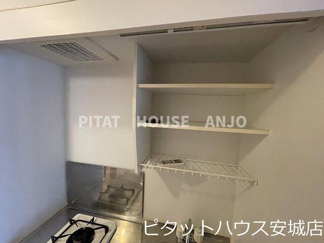 ロイヤルサルビア（302） その他