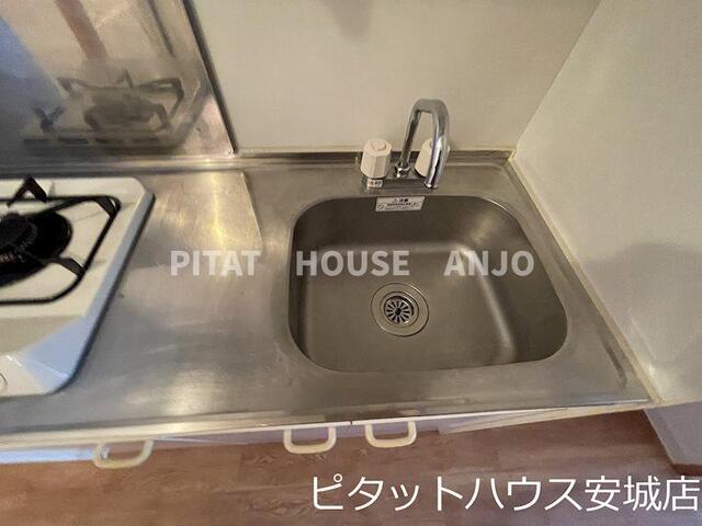 ロイヤルサルビア（302） その他