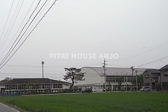 ヴィラ・ウエハラ（203） 部屋画像