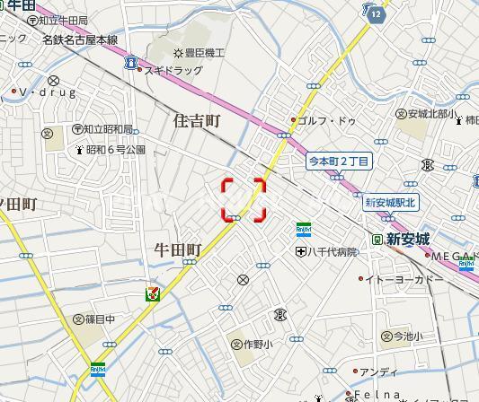 サルビア（302） その他