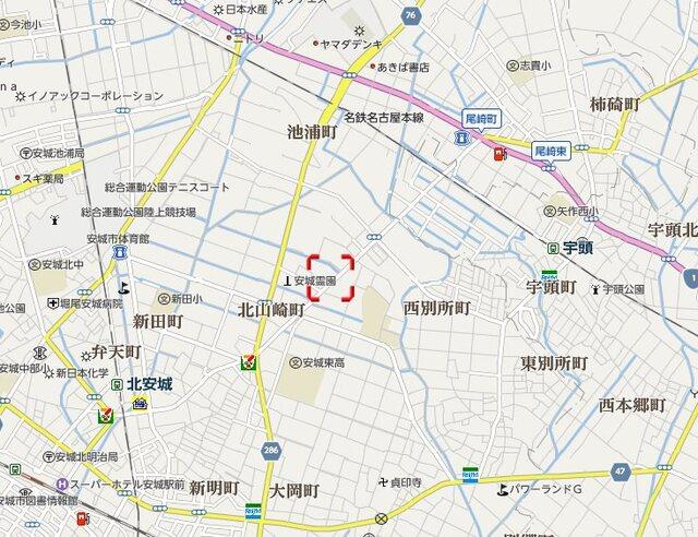 ロイヤルサルビア（302） その他