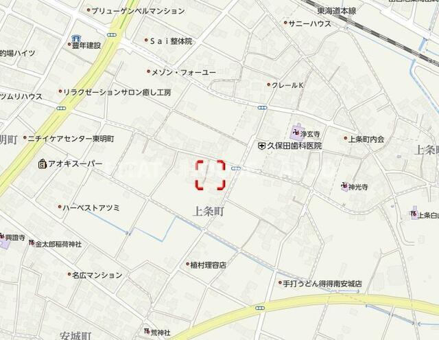 サンフラワー（105） その他
