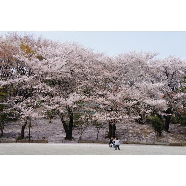 小台西公園：290m