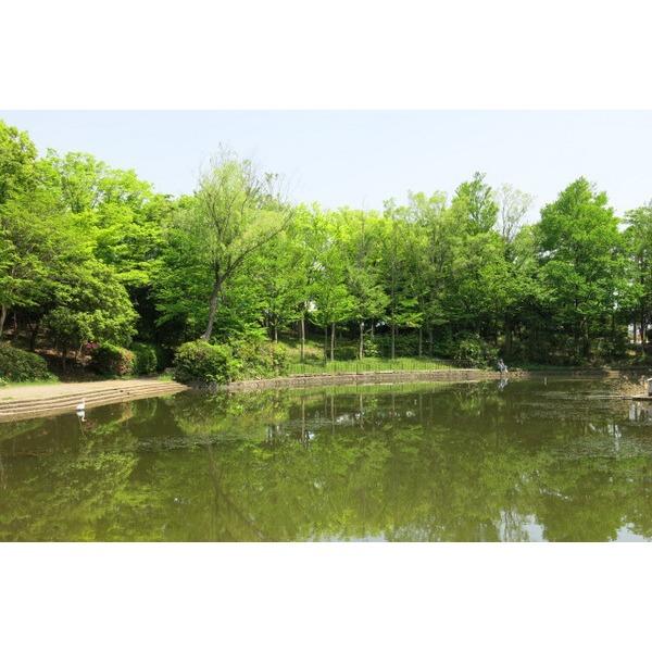 山崎公園：1010m