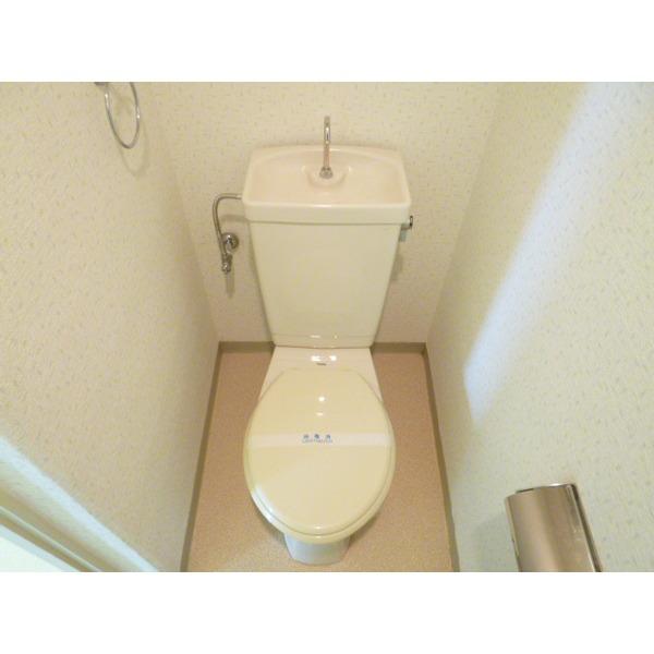 ビューハイツ寺本（301） トイレ