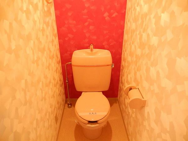 サザン２７前川ビル（304） 部屋画像