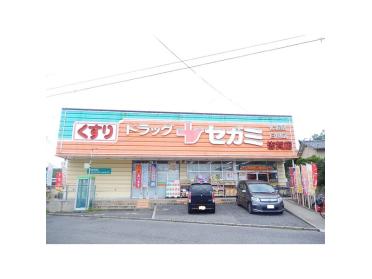 ドラッグセガミ皆賀店：777m