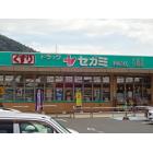 ドラッグセガミ利松店（ドラッグストア）：522m