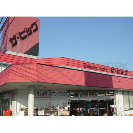 レンゲ 周辺環境写真5 ザ・ビッグ五日市店：1455m