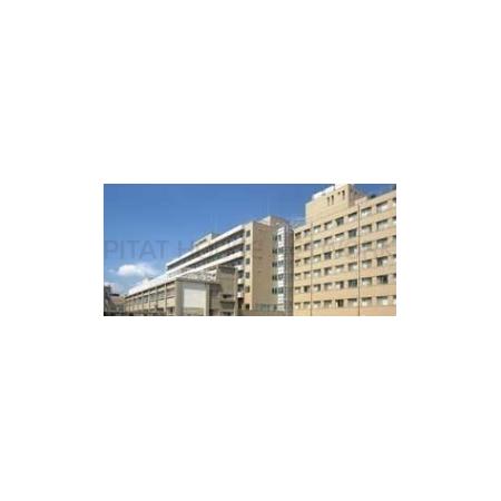 ラ　ベレッツァ 周辺環境写真5 ＪＡ広島総合病院：800m