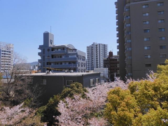 エルサンク浜岡（402） 眺望