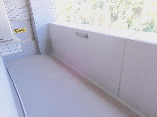ＡＤ・ＧＲＡＹＳⅡ（803） バルコニー