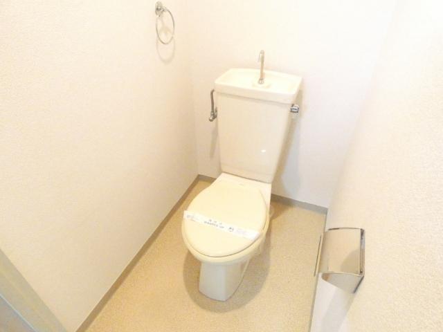 ビューハイツ寺本（303） トイレ