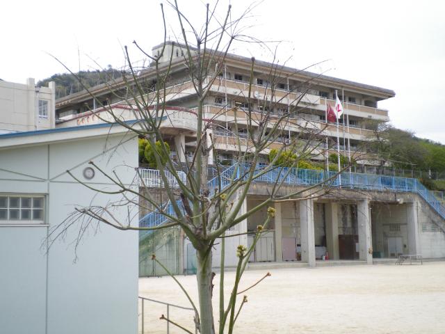 広島市立五日市観音小学校：834m