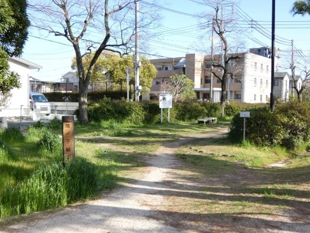 岡ノ下緑地：227m