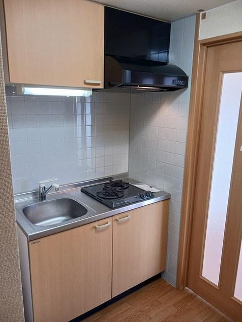 カーサ　エテルナ（308） キッチン