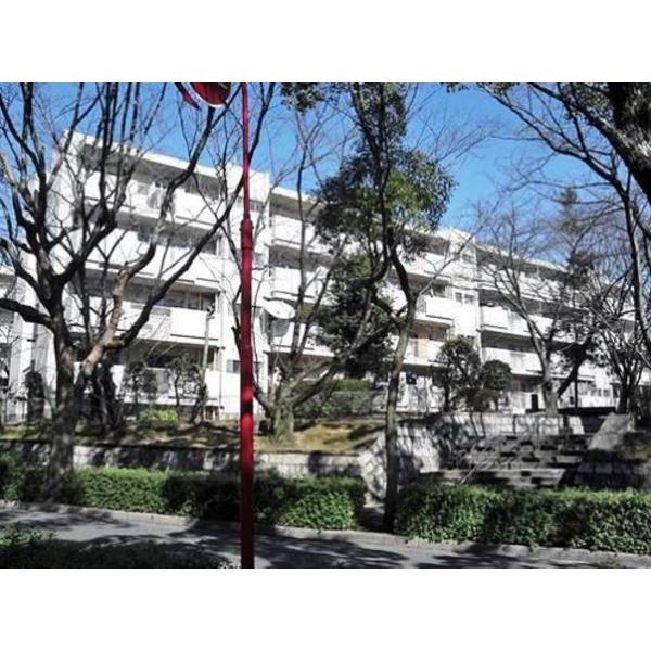 公社千里津雲台団地Ａ１９棟 物件画像