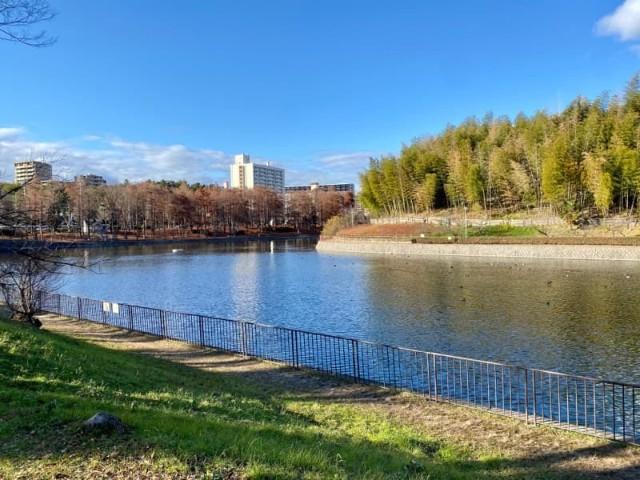 公園