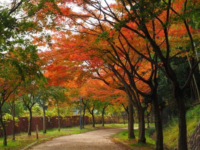 公園