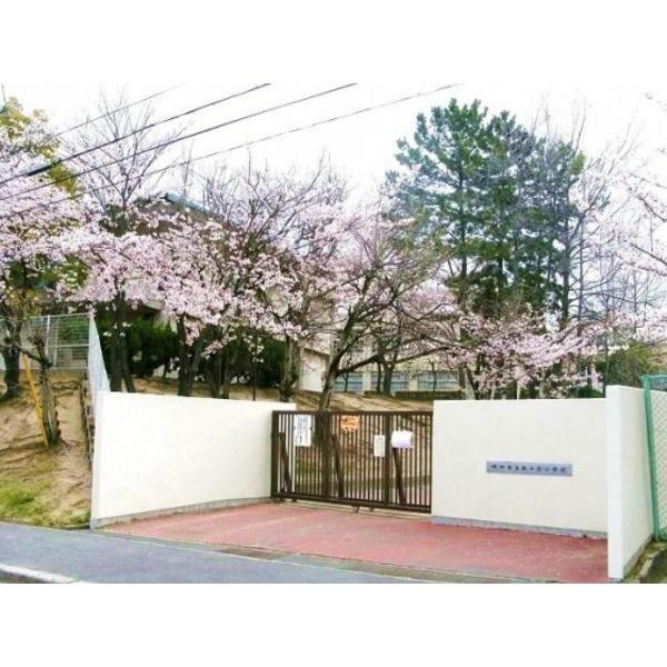 小学校