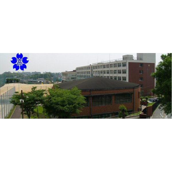 高校