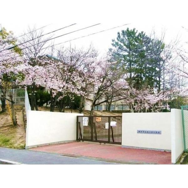 小学校