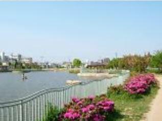 公園