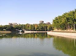 公園