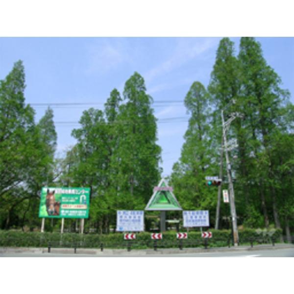 公園