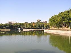 公園